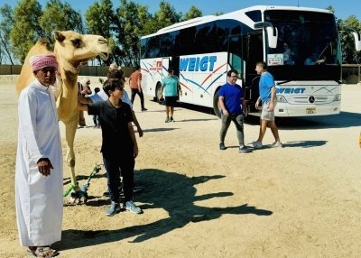 Bahrain MSC Virtuosa Shared Tour 7H