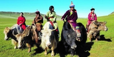 Go Mongolia 2026
