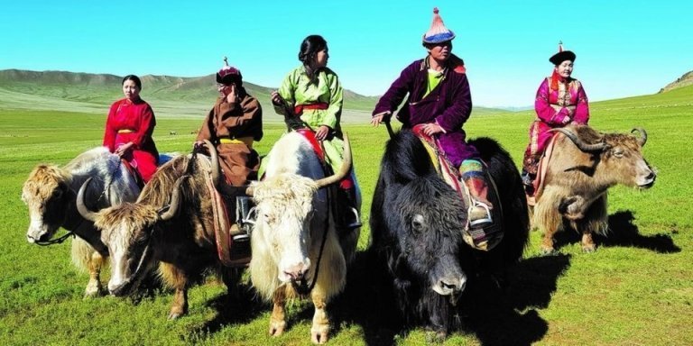 Go Mongolia 2026