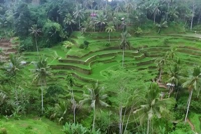 Bali Rafting and Ubud Tour Packages