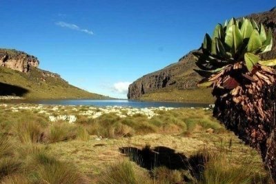 Mt Kenya Climbing - Hiking & Adventure Safari - 10 Days