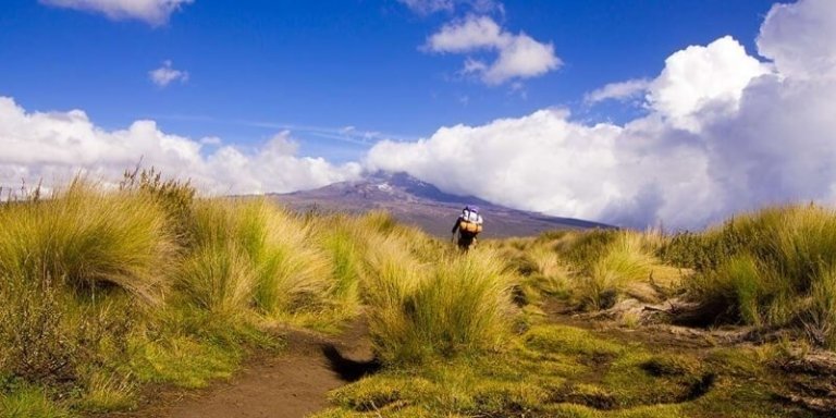 Mt Kenya, Chogoria Route & Mt Kilimanjaro, Marangu Route - 15 Days