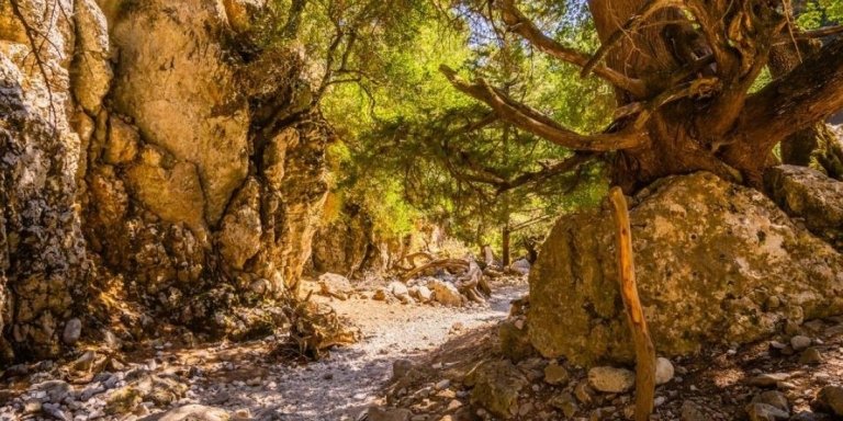 Amazing Imbros Gorge from Chania