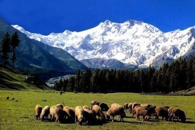 09 Days Nanga Parbat Fairy Meadows base camp trek Pakistan