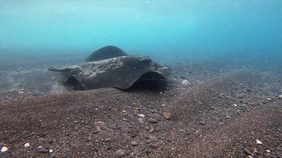 Discover Scduba Diving