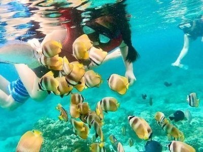 Bali Blue Lagon Snorkeling & Waterfall Tour