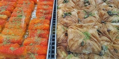 Wine, Food Tours & Tasting