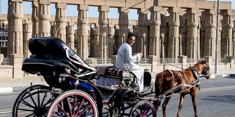 LUXOR CITY TOUR  BY HORSE CARRIAGE