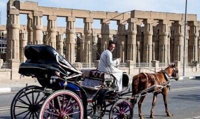 LUXOR CITY TOUR  BY HORSE CARRIAGE