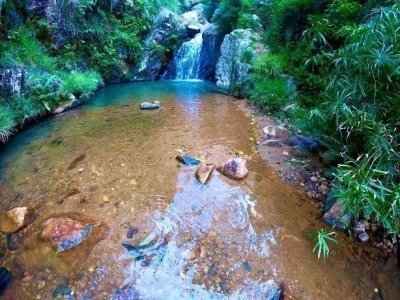 Ella Rock: Sunrise Hike with a Guide