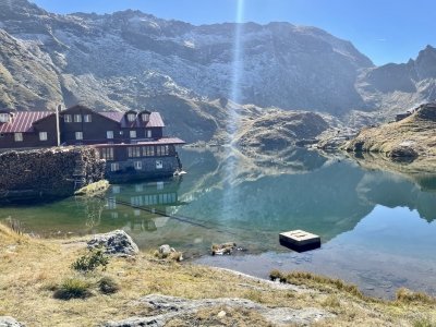 Transfagarasan Highway and Brown Bears - 12 hours from Bucharest