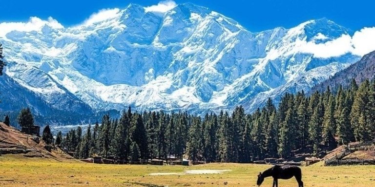 Skardu - Fairy Meadows Tour Package