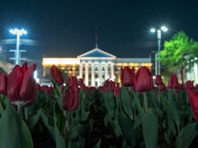 Bishkek Street Art & Kyrgyz History (Walks & Talks)
