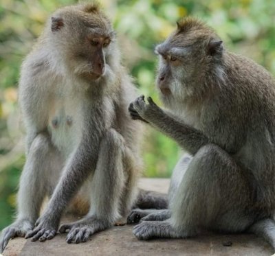 Uluwatu : Best Sunset South Bali  & Jimbaran Seafood Market