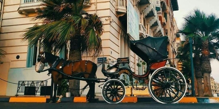 ALEXANDRIA BY NIGHT PRIVATE TOUR BY HORSE CARRIAGE RIDE