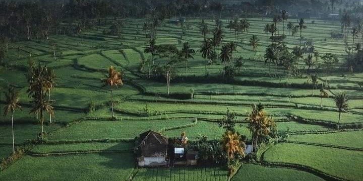 Bali : Best of North bali, Ulundanu temple and Tanah lot temple