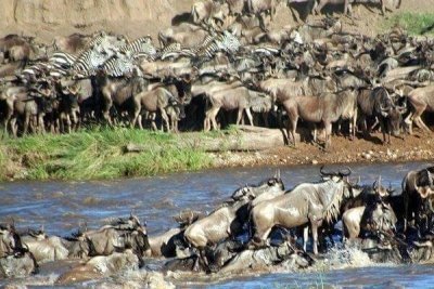 Kenya Photographic Safari