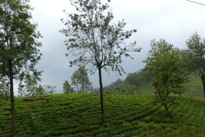 KNUCKLES SPICE TRAIL- ONE DAY TOUR FROM KANDY