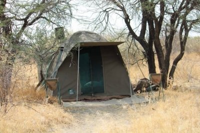 Sunset safari  Trail