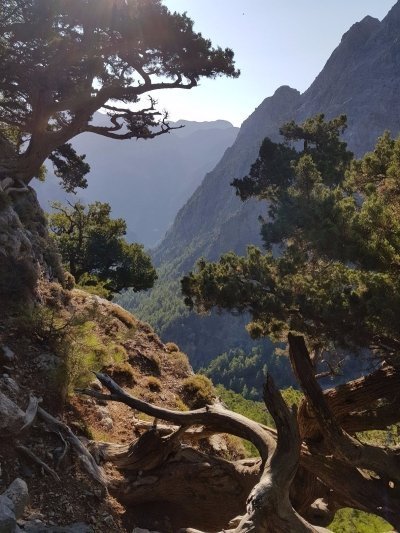 Easy Way Samaria Gorge Guided Tour from Rethymnon