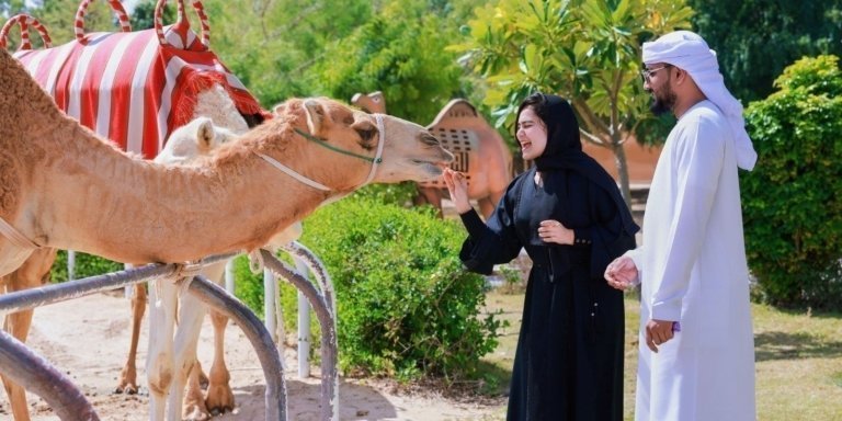 Dubai Royal Camel Race