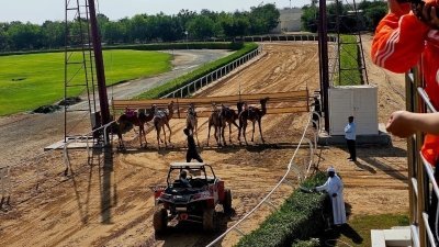 Dubai Royal Camel Race