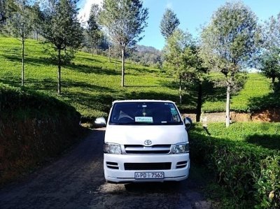 Ceylon Tea Tasting &  Tea Experience Trip from Colombo