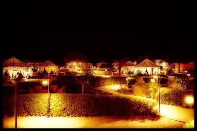 Desert Rose Jaisalmer: Luxury Tent In Thar Desert