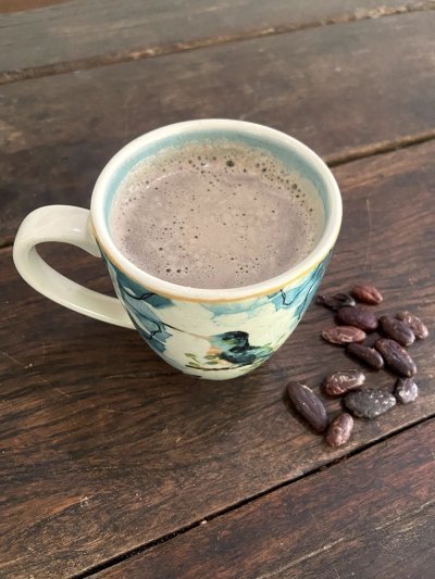 From forest to the Table: Cacao tour + Chocolate making class