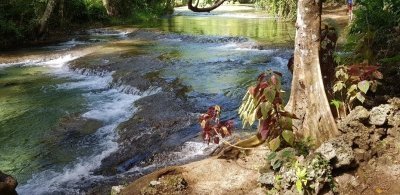 Adventure in PARADISE