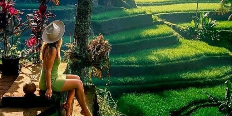 Ubud Highlight Guided Tour With Ticket