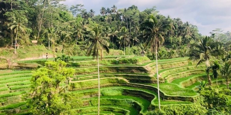 private full-day tour included waterfall and rice terraces