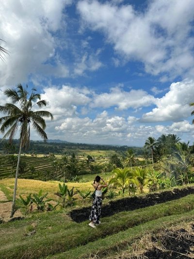 Jatiluwih Rice Terrace Tour