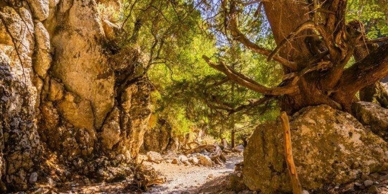 Imbros Gorge Hike from Rethymnon