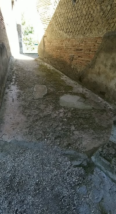 Ville di Stabia  from Sorrento guided walk +transfer