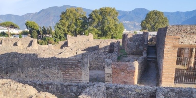 Pompei park from Sorrento guided+transfer