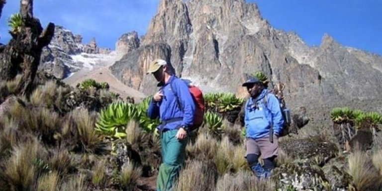 Mount Kenya Trekking