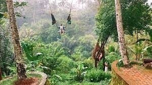 Private Tour For Bali Highlight - All Inclusive