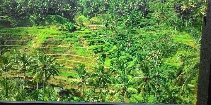 Private Tour For Bali Highlight - All Inclusive