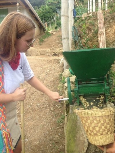 Medellin express coffee tour