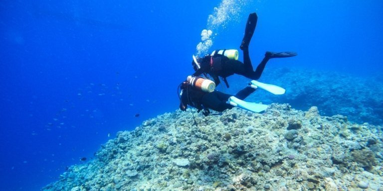 Private Group Scuba Tour -  Northern Okinawa - 3 Boat Dives + Lunch