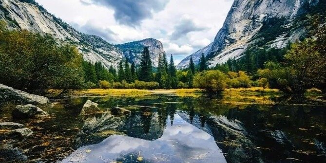 From SFO-Yosemite National Park-Enchanting Full Day Tour in SUV