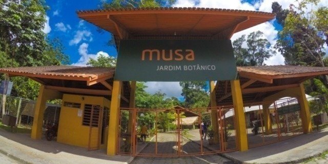 MUSA_Amazonian Museum Including Observation Tower and Guided Tour