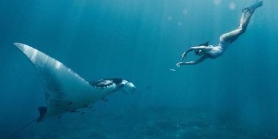 From Nusa penida Snorkelling Trip With Manta rays Fish