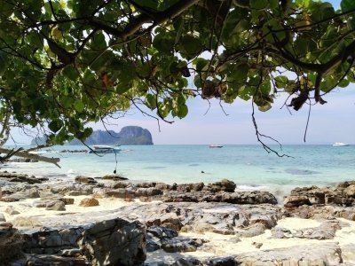 Phi Phi Islands snorkeling and sightseeing