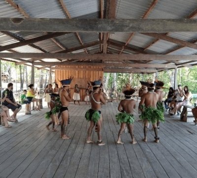 Encontro das Águas Tours and Swimming with Dolphins