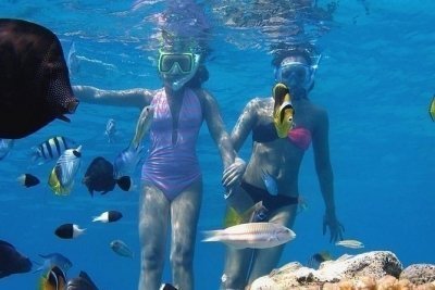 SNORKELLING TRIP IN RAS MOHAMED BY BOAT