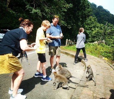 MENJANGAN BALI AIRPORT PICKUP/TRANSFER