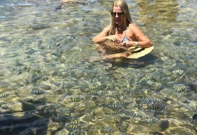 Praia do Gunga - City Tour Panorâmico