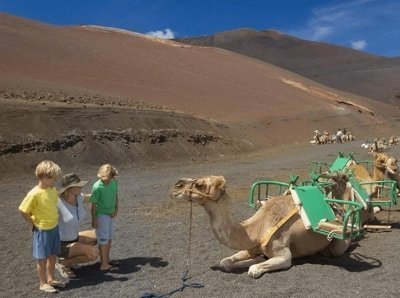 Timanfaya National Park Tour & optional Camel Ride - Short South Tour